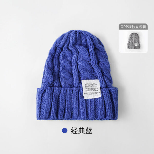 Solid Color Twist Female Autumn And Winter Student Warm Ear Protection Knitted Hat Couple Versatile Cold Hat - Image 26