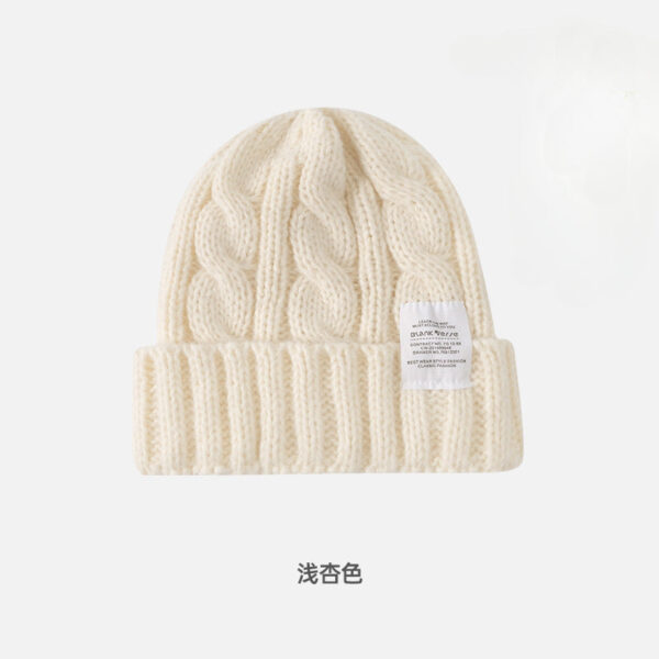 Solid Color Twist Female Autumn And Winter Student Warm Ear Protection Knitted Hat Couple Versatile Cold Hat - Image 5